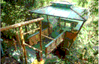 treehouse